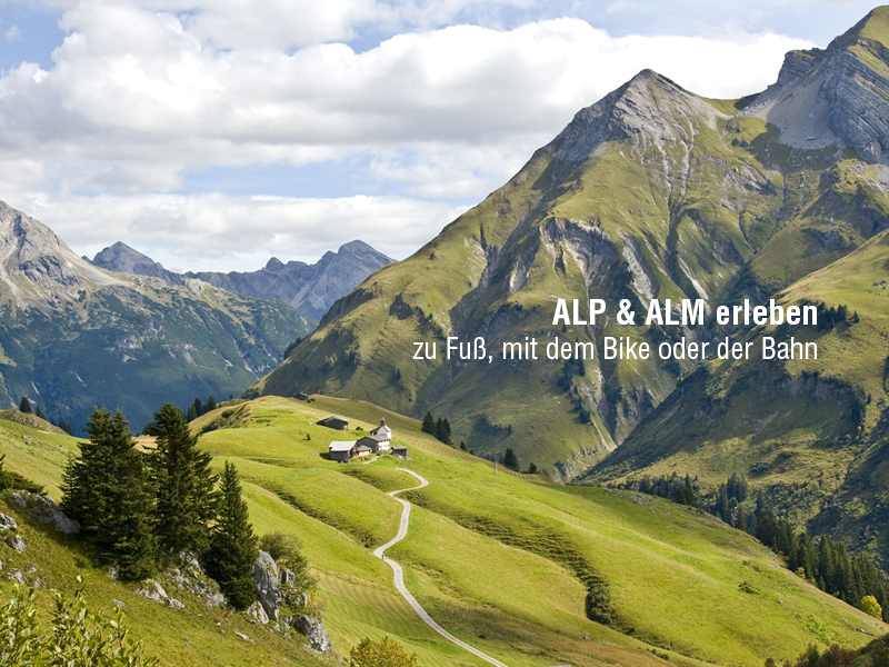 800x600px Blogbeitrag