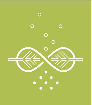 drirelease Grafik performance