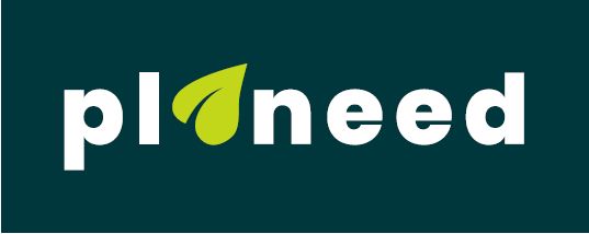 Planeed Logo Dummi