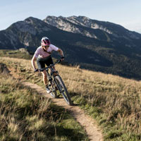 NELENIA tricot lady Small