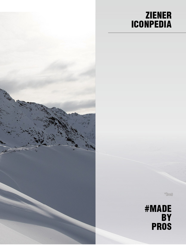 IconPedia Startbild 1