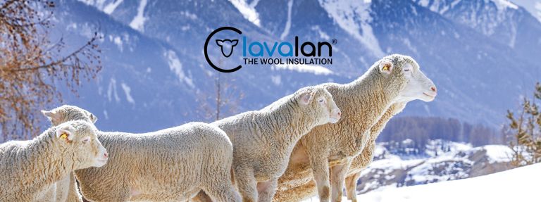 lavalan® - der Weg der Wolle