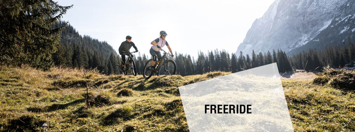 FEEL FREE MIT ZIENER