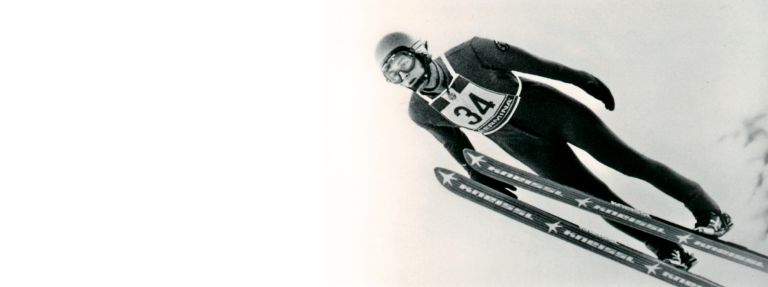 Falko Weißpflog - Der Falke