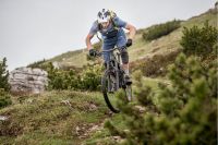 Ein feines Händchen