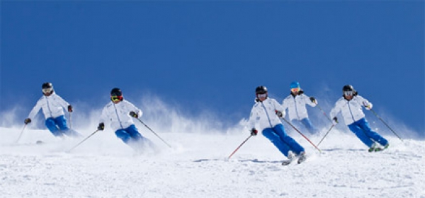 Glove supplier to the coaching team of the German Ski Teachers
