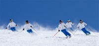 Glove supplier to the coaching team of the German Ski Teachers